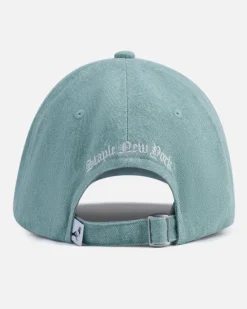 Civics Emb Dad Cap