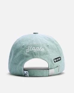 NY Icons Cap