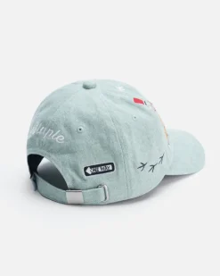 NY Icons Cap