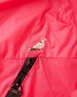 Terminal Windbreaker
